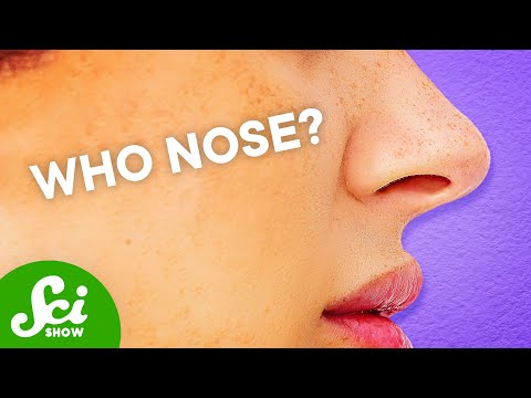 Why Do Our Noses Stick Out?