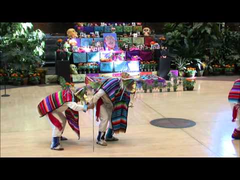 Danza de los Viejitos - Dance of the Old Men