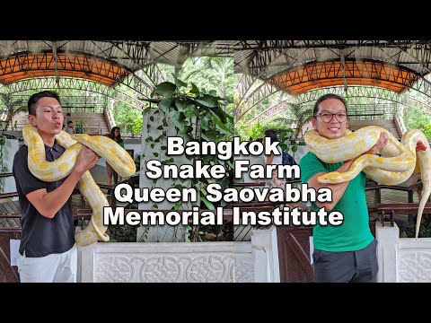 Bangkok Snake Farm Queen Saovabha Memorial Institute - Places to visit in Bangkok