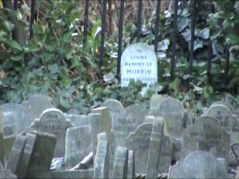 Pet Cemetery in Hyde Park