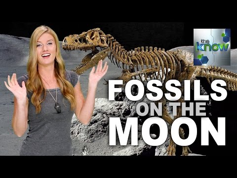 There Could Be Dinosaur Fossils on the Moon - The Know