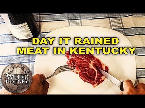 Kentucky Meat Shower - The Day It Rained Mystery Meat