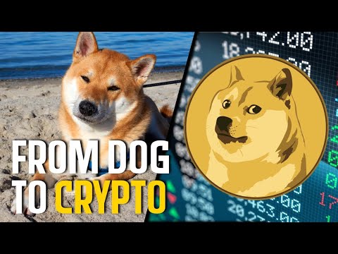 What Is Dogecoin Cryptocurrency (Don&#039;t Ignore this Elon Musk Tweet)