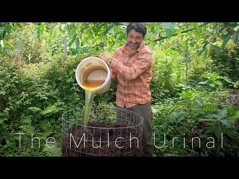 The Best Way to use Urine as Fertilizer