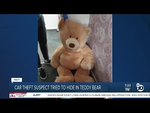 Fact or Fiction: Teen tries to hide from police inside giant teddy bear?