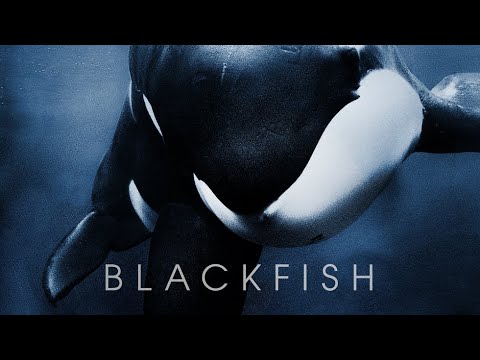 Blackfish - Official Trailer