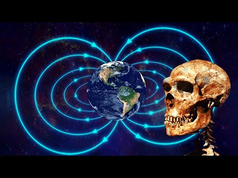 Pole Reversal 42,000 Years Ago Caused Neanderthal Apocalyse