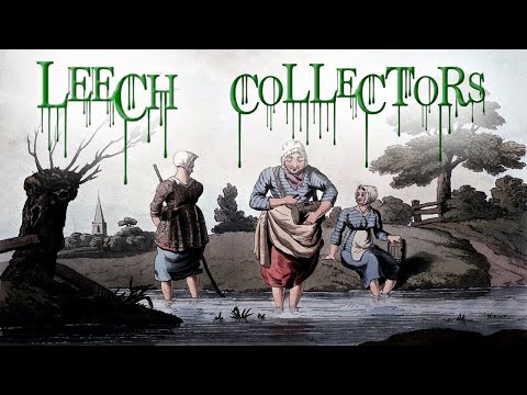 Leech Collectors (Worst Jobs in Victorian History)