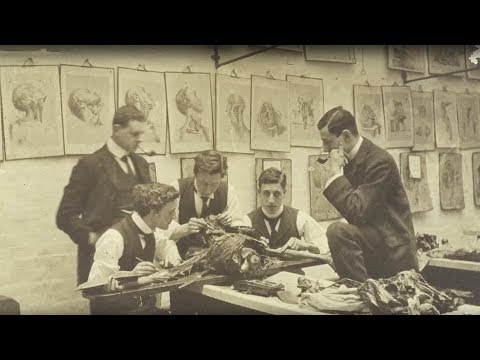 The Body Snatchers: Corpse and Effect
