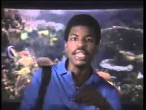 Reading Rainbow 1983