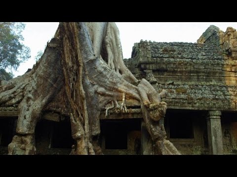 Alien Like Tree Takes Hold of Ancient Cambodian Temple