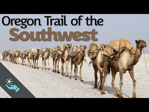 The Oregon Trail of the Southwest | US Camel Corps