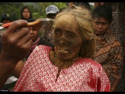Menyeramkan Mayat Berjalan Di Ritual Manene Toraja
