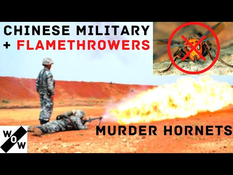 Chinese Military | Flamethrowers Type 74 | Murder Hornets