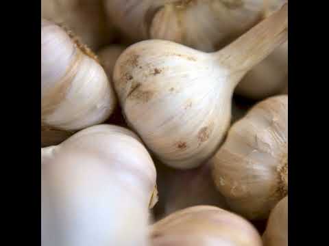Yogurt may be the next go-to garlic breath remedy