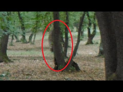 Hoia-Baciu | The World&#039;s Most Haunted Forest Documentary