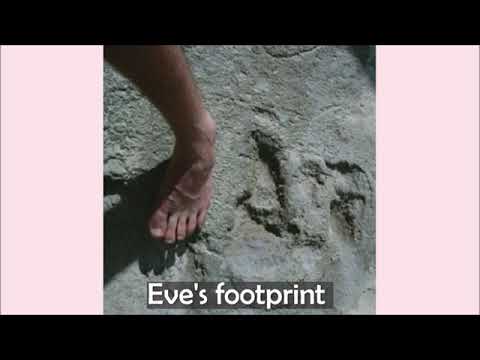 Eve&#039;s footprints in South Africa