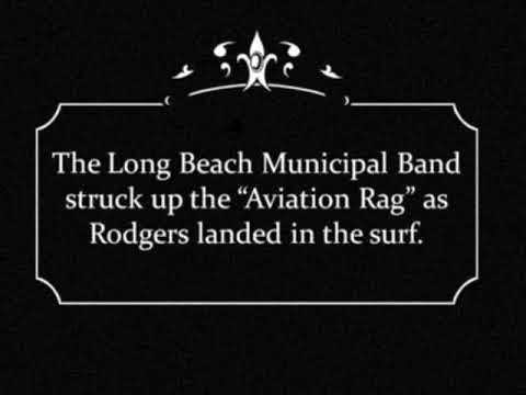 10 Shocking Air Disasters Caused by Birds - 96