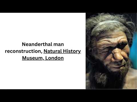 Oldest Known Human Viruses Discovered In 50,000-Year-Old Neanderthal Bones