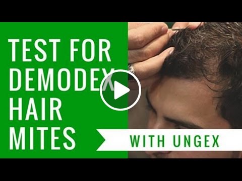 Test for Demodex Hair Mites