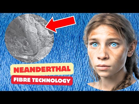 Neanderthals Invented Fiber Technology Long Before Humans | Study Suggests