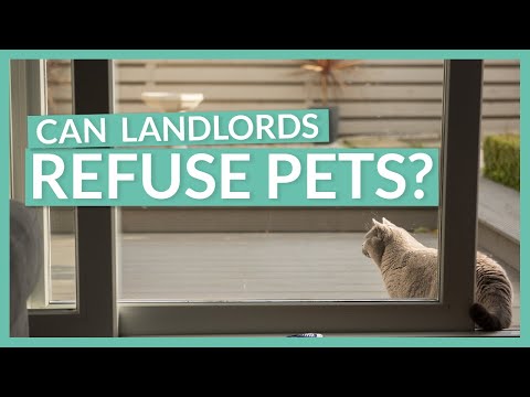 Can Landlords Refuse Pets? | Renting with Pets