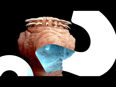 Man Contracts Tapeworm-Derived Cancer | HowStuffWorks NOW
