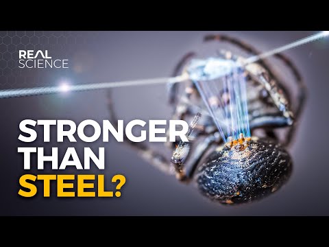 Why Spider Silk is Stronger Than Steel