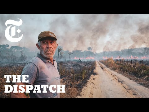 Meet the Ranchers Who Claim the Brazilian Amazon is Theirs to Burn | The Dispatch