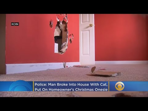 Police: Man Who Broke Into House With Cat Put On Homeowner’s Christmas Onesie
