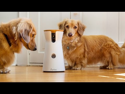 10 Best Inventions For Dog Owners - 23