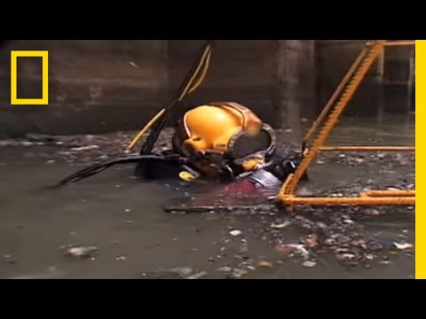 Top 10 Bizarre And Scary Jobs For Commercial Divers - 56