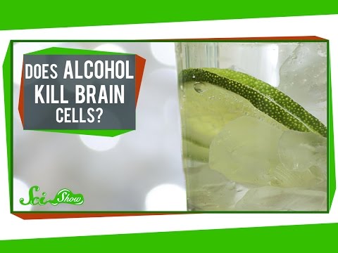 Does Alcohol Kill Brain Cells?