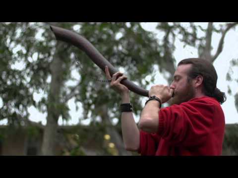 Prehistoric Irish horn
