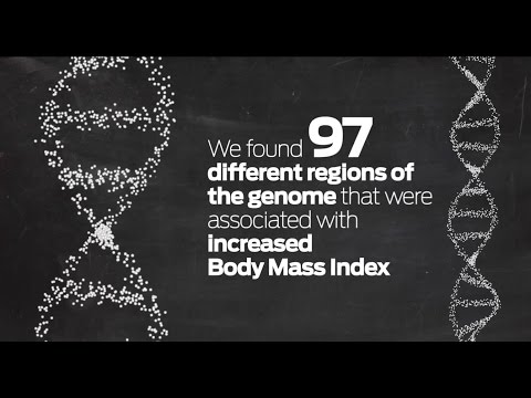 Is obesity in our genes? Study strengthens genetic link to body size