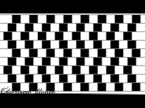 The Cafe Wall Illusion (カフェウォール錯視)：Can you recognize parallel line?