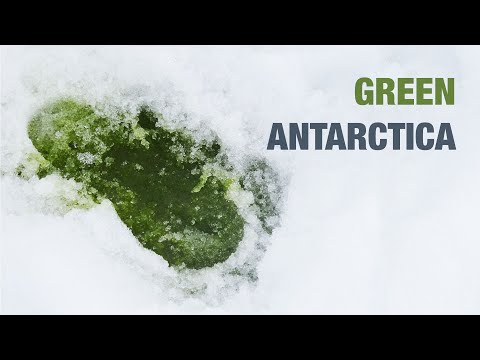 Green Antarctica