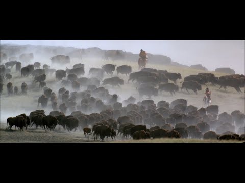 Buffalo Hunt – Dances With Wolves