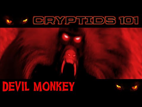 CRYPTIDS 101 🐾 Devil Monkey 🐾 "Deadly Demon Primate" (Appalachian NAPE Origin Myth Legend) ᴸᴺᴬᵗᵛ