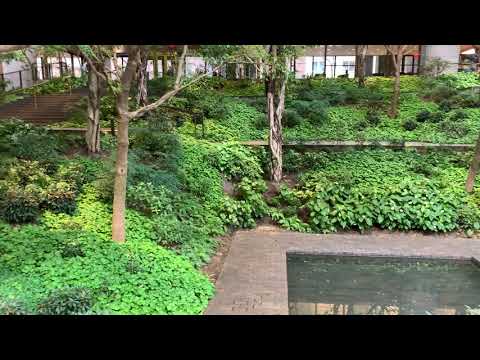 Ford Foundation Building/New York City/