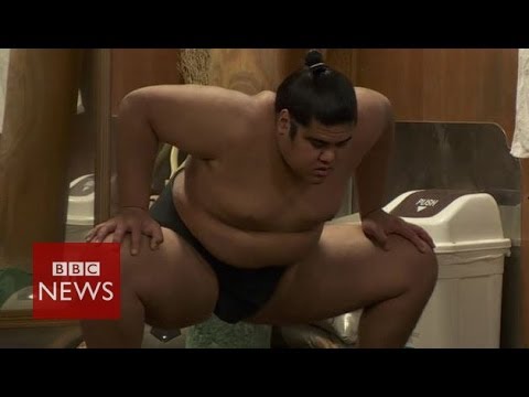 Life of a sumo wrestler - BBC News
