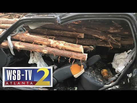 Real life Final Destination? Georgia driver miraculously survives crash with logging truck