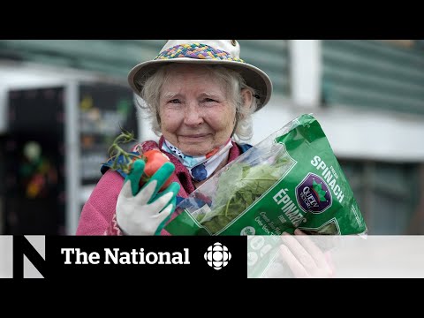 How community fridges help feed people in need