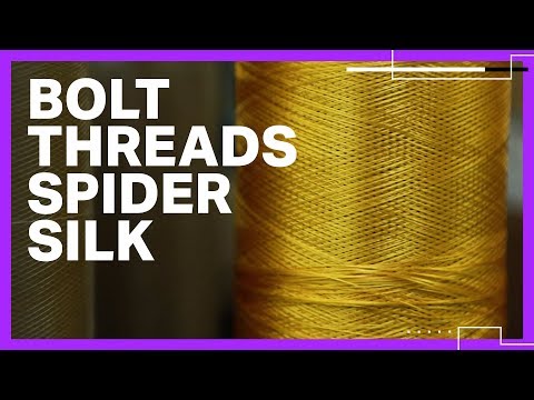Bolt Threads uses spider silk to make apparel