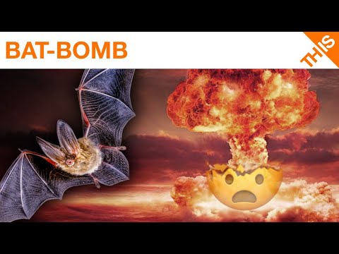 10 Bizarre Failed Military Experiments and Projects - 33