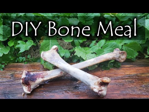 How To Make Bone Meal