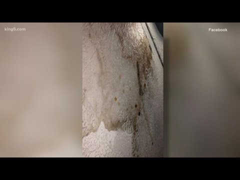 Renter&#039;s rights: what to do about mold