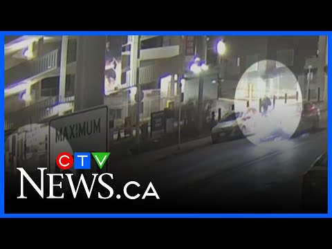 Criminal responsibility questioned at murder trial
