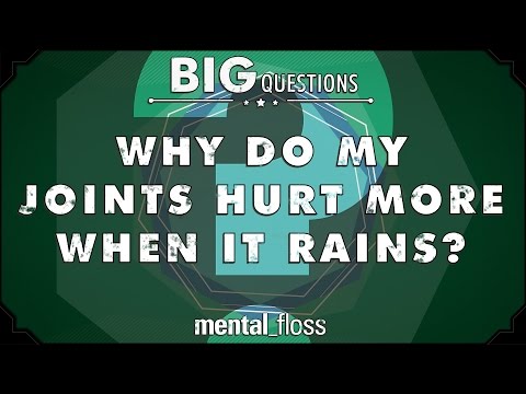 Why do my joints hurt more when it rains? - Big Questions - (Ep. 203)