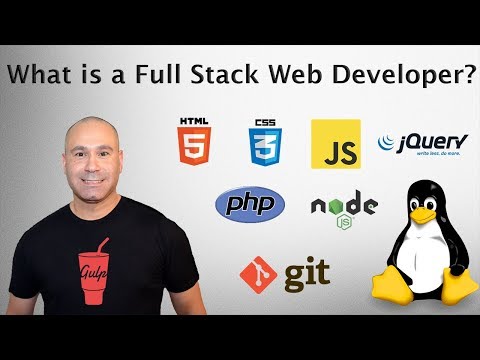 What Is a Full Stack Developer &amp; How To Become a Full Stack Developer in 1 Year